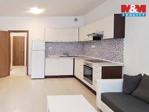 Pronájem bytu 1+kk, Praha, Honzíkova, 34 m2