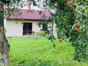 Prodej pozemku pro bydlení, Brloh, 1330 m2