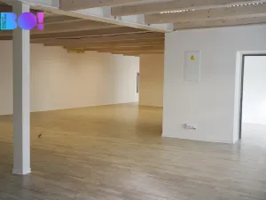 Pronájem kanceláře, Praha, Zubatého, 260 m2