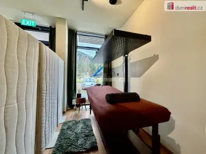 Prodej bytu 1+kk, Harrachov, 28 m2