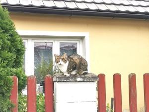 Prodej rodinného domu, Lipůvka, 152 m2