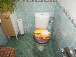 Prodej rodinného domu, Hrochův Týnec, Zámecká, 115 m2