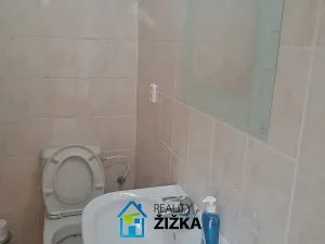 Pronájem výrobních prostor, Hrušovany u Brna, U Výzkumu, 200 m2