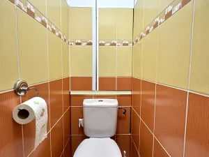 Prodej bytu 3+1, Litvínov, Podkrušnohorská, 68 m2