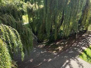 Prodej bytu 3+1, Vysoké Mýto, U Potoka, 66 m2