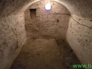 Prodej rodinného domu, Prusy-Boškůvky - Moravské Prusy, 100 m2