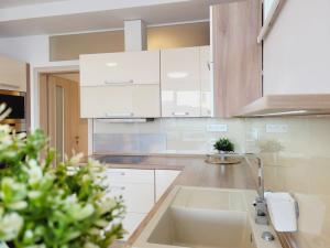 Pronájem bytu 3+kk, Olomouc, Janského, 64 m2