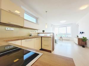 Pronájem bytu 3+kk, Olomouc, Janského, 64 m2