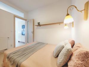 Pronájem bytu 3+kk, Olomouc, Janského, 64 m2
