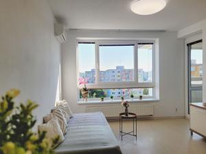 Pronájem bytu 3+kk, Olomouc, Janského, 64 m2