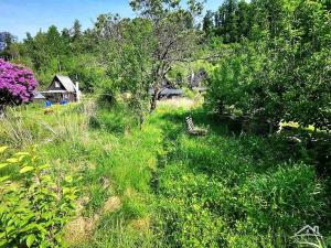 Prodej chaty, Jihlava - Henčov, 40 m2