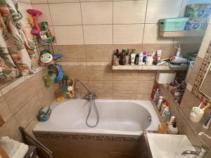 Prodej bytu 3+1, Teplice, Fráni Šrámka, 85 m2