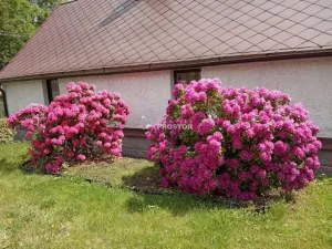 Prodej rodinného domu, Hlohovice - Hlohovičky, 90 m2