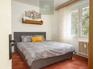 Pronájem bytu 2+1, Plzeň, Na Dlouhých, 53 m2