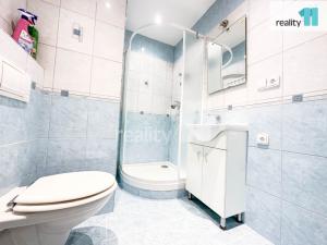 Pronájem bytu 1+1, Kroměříž, U Rejdiště, 32 m2