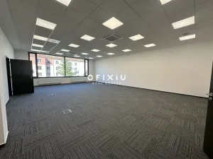 Pronájem kanceláře, Brno, Botanická, 90 m2