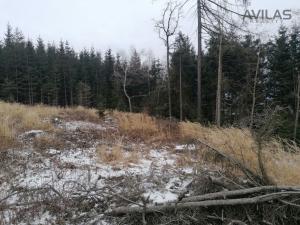 Prodej lesa, Votice - Hory, 11862 m2