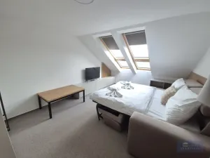 Pronájem ubytování, Klentnice, 822 m2