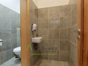 Pronájem komerční nemovitosti, Lipno nad Vltavou, 62 m2