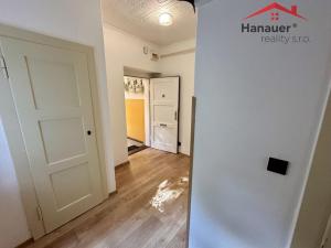 Pronájem bytu 1+1, Děčín - Děčín I-Děčín, Tyršova, 55 m2