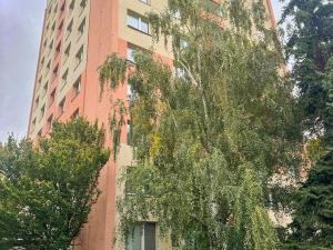 Prodej bytu 3+1, Kroměříž, 71 m2