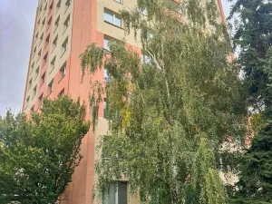 Prodej bytu 3+1, Kroměříž, 71 m2