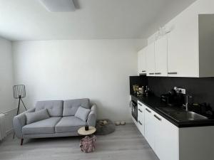 Pronájem bytu 1+1, Františkovy Lázně, Anglická, 37 m2