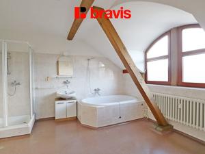 Pronájem bytu 2+kk, Brno - Veveří, 122 m2