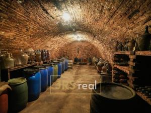 Prodej - jiné, Velké Hostěrádky, 140 m2