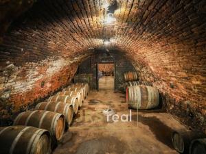 Prodej - jiné, Velké Hostěrádky, 140 m2