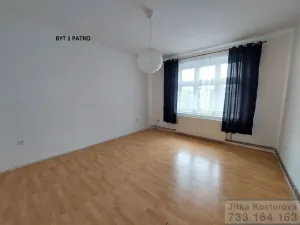 Prodej činžovního domu, Krnov - Pod Bezručovým vrchem, Albrechtická, 300 m2