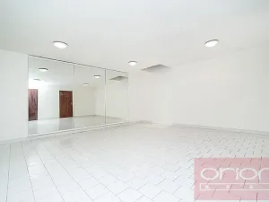 Pronájem rodinného domu, Praha - Břevnov, Slezanů, 350 m2