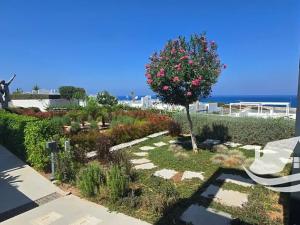 Prodej bytu 2+1, Agios Amvrosios Keryneias, Kypr, 87 m2