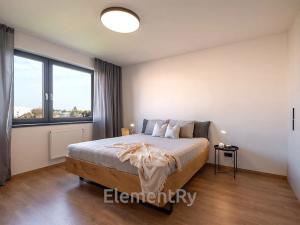 Pronájem bytu 2+kk, Hradec Králové, Kubelíkova, 70 m2