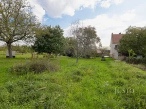 Prodej pozemku pro bydlení, Těmice, 40 m2