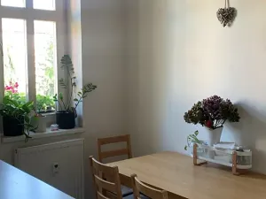 Pronájem bytu 2+kk, Poděbrady, Dr. Beneše, 50 m2
