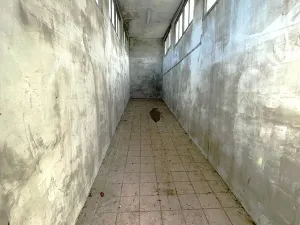 Pronájem - jiné, Most, Růžová, 61 m2