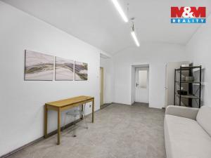 Pronájem obchodního prostoru, Praha - Smíchov, Zborovská, 180 m2