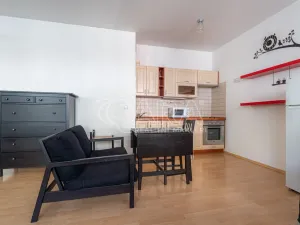 Pronájem bytu 1+kk, Praha - Motol, Kudrnova, 44 m2