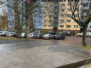 Pronájem bytu 1+1, Sokolov, Švabinského, 40 m2