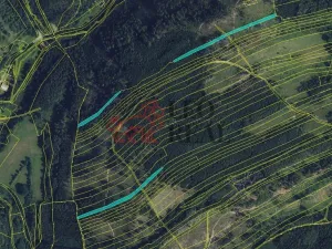 Prodej lesa, Městečko Trnávka, 33528 m2