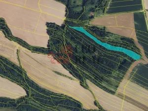 Prodej lesa, Městečko Trnávka, 33528 m2