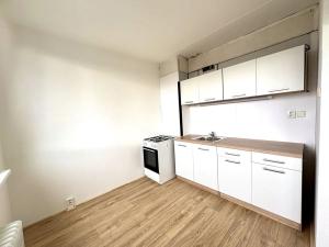 Pronájem bytu 1+1, Most, Javorová, 33 m2