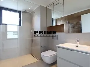 Pronájem rodinného domu, Praha - Řepy, U Lesoparku, 408 m2