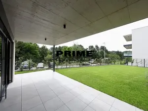Pronájem rodinného domu, Praha - Řepy, U Lesoparku, 408 m2