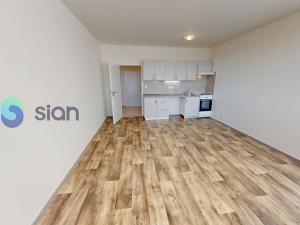 Pronájem bytu 1+kk, Ostrava - Dubina, Jana Maluchy, 32 m2