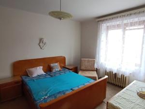 Prodej bytu 2+1, České Budějovice - České Budějovice 3, Otakarova, 57 m2