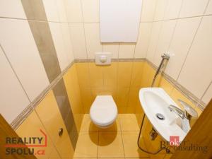 Pronájem bytu 3+1, Horní Bříza, Družstevní, 71 m2