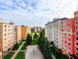 Pronájem bytu 3+1, Horní Bříza, Družstevní, 71 m2