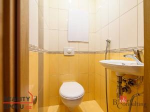 Pronájem bytu 3+1, Horní Bříza, Družstevní, 71 m2